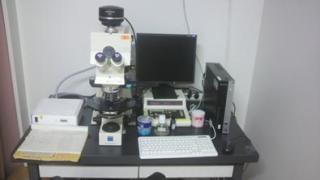 蛍光正立顕微鏡