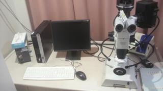 実体蛍光顕微鏡(CCD付) Stereo fluorescence microscope