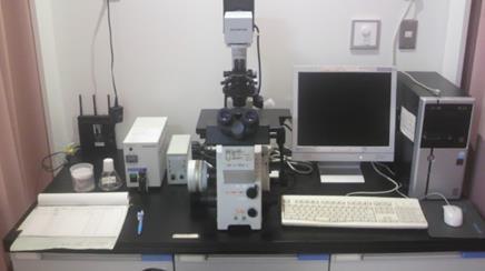 倒立蛍光顕微鏡(CCD付) Inverted fluorescence microscope