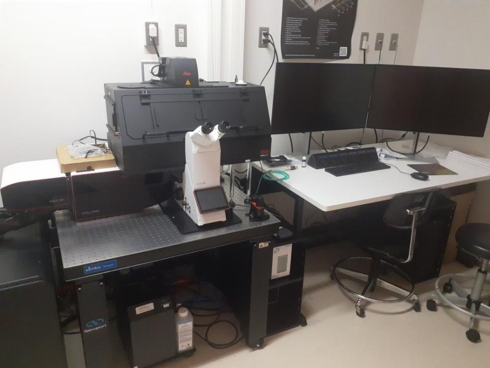 CRL_260601_超解像共焦点レーザー顕微鏡