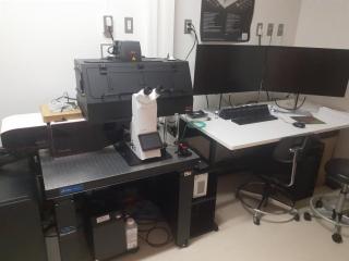 CRL_260601_超解像共焦点レーザー顕微鏡