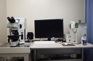 共焦点レーザー走査型顕微鏡システム