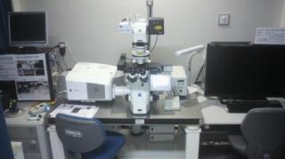 共焦点レーザ顕微鏡